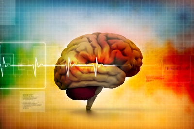 How to grow your brain
