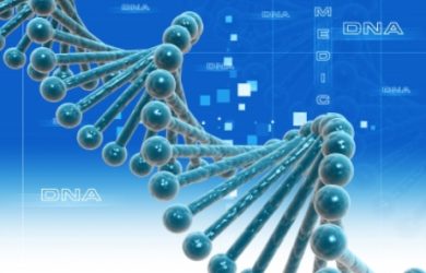 The evolution of genetic variation