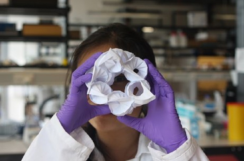 Scholar to premiere film on DNA origami