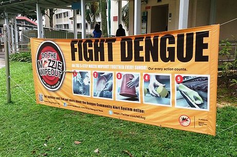 Mapping dengue fever