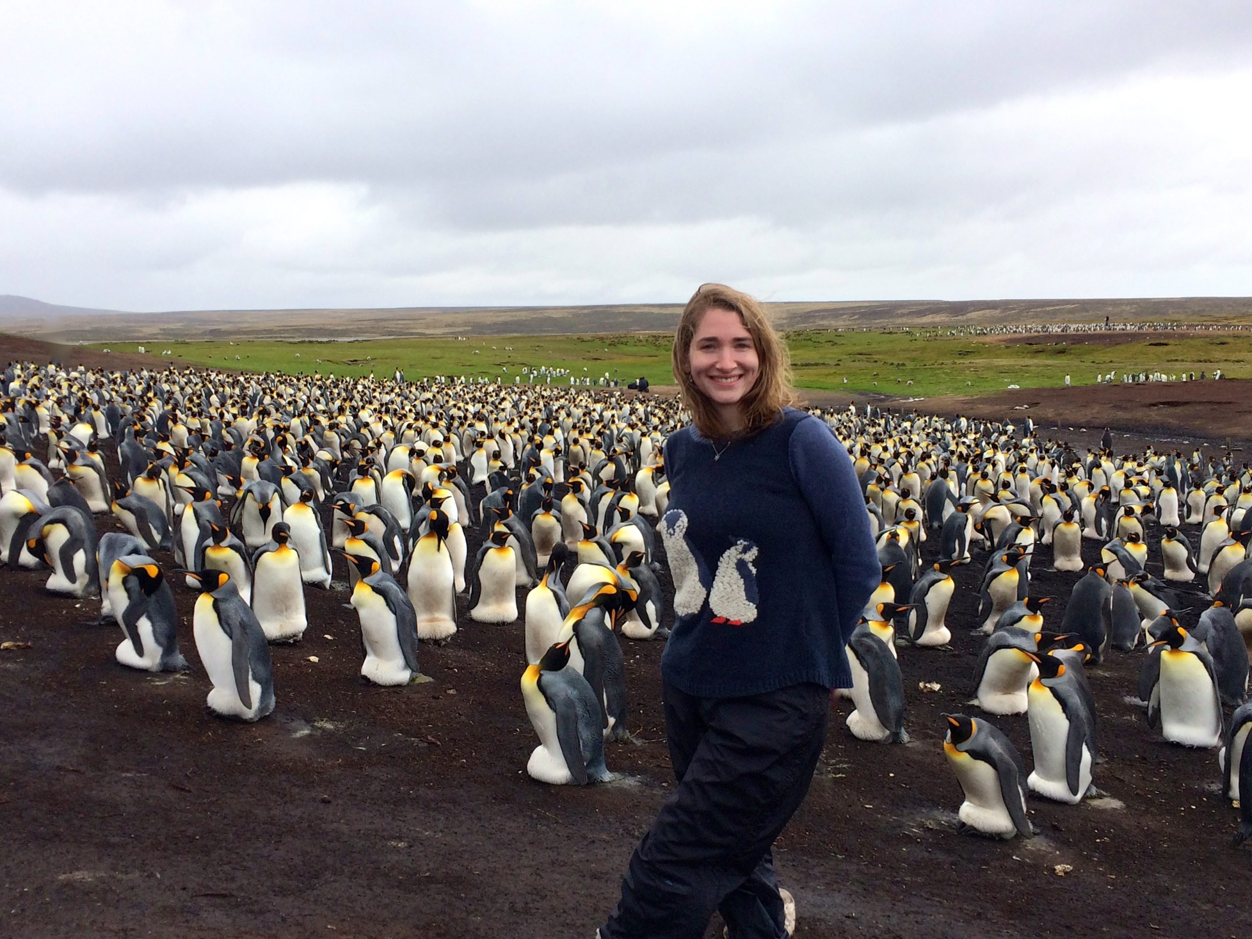 Exploring research opportunities in the Falklands