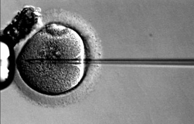 Egg donation ‘needs to be regulated’