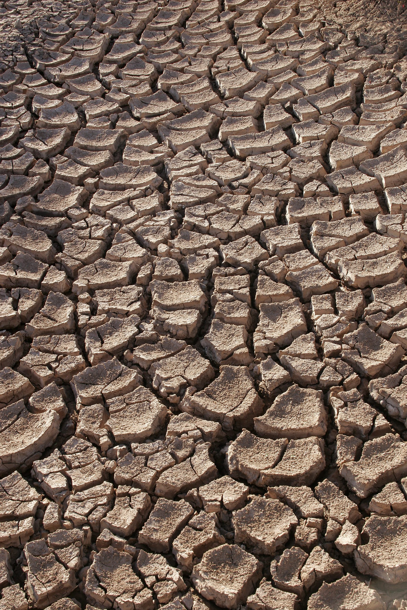A drought for science?