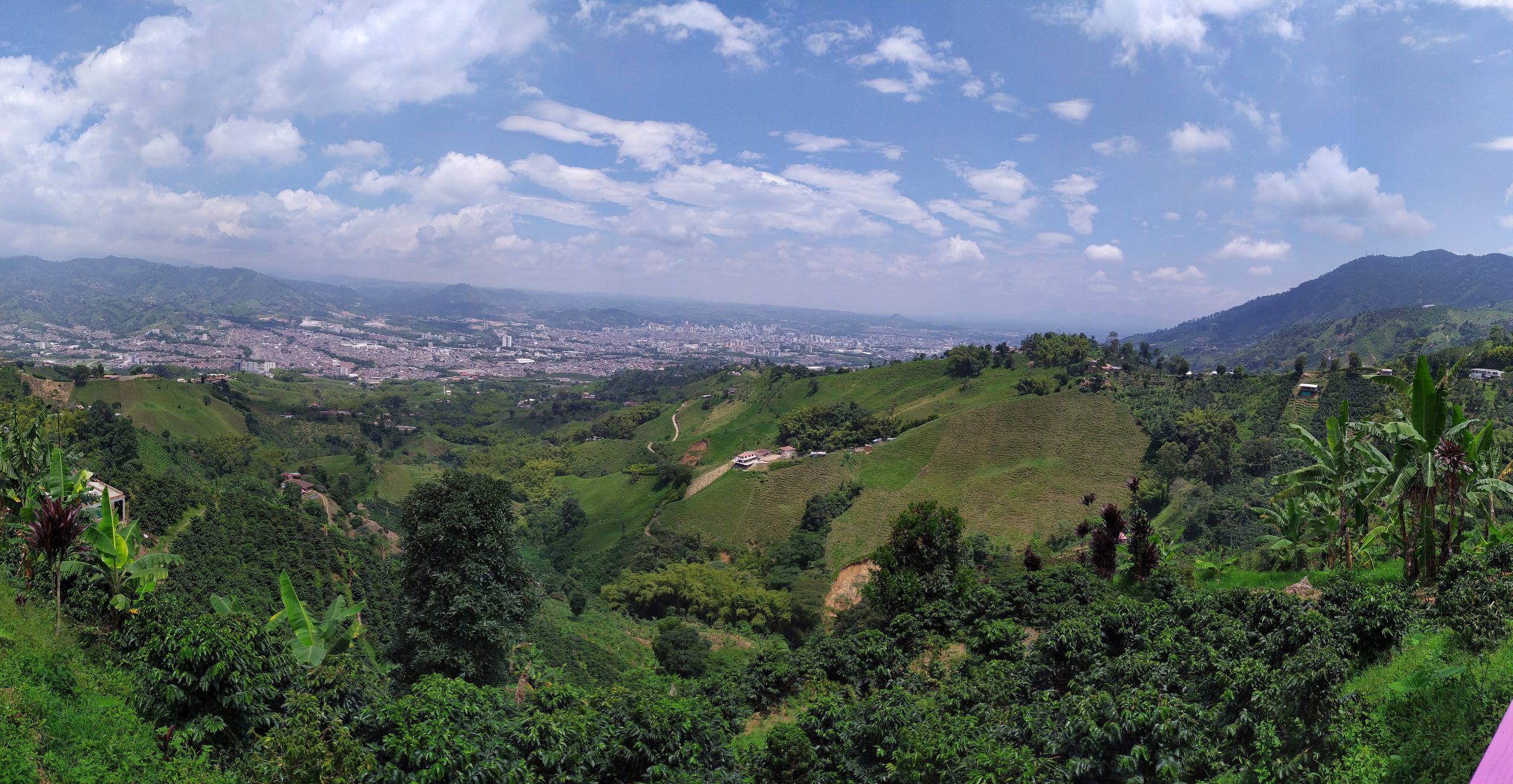 Alumna leads international consortium for smallholders in Colombia