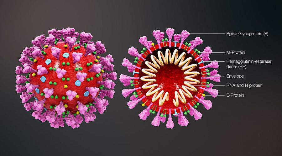 App allows comparisons in rate of spread of COVID-19