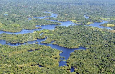 The nine actions necessary for successful ecological restoration