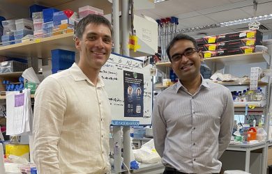 Scholars join forces on anti-cancer drug