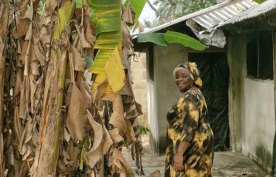 Food security in Africa through a multi-disciplinary lens