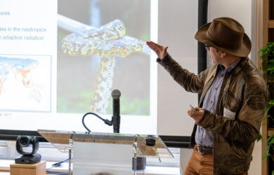 Fossils reveal anacondas have been giants for over 12 million years