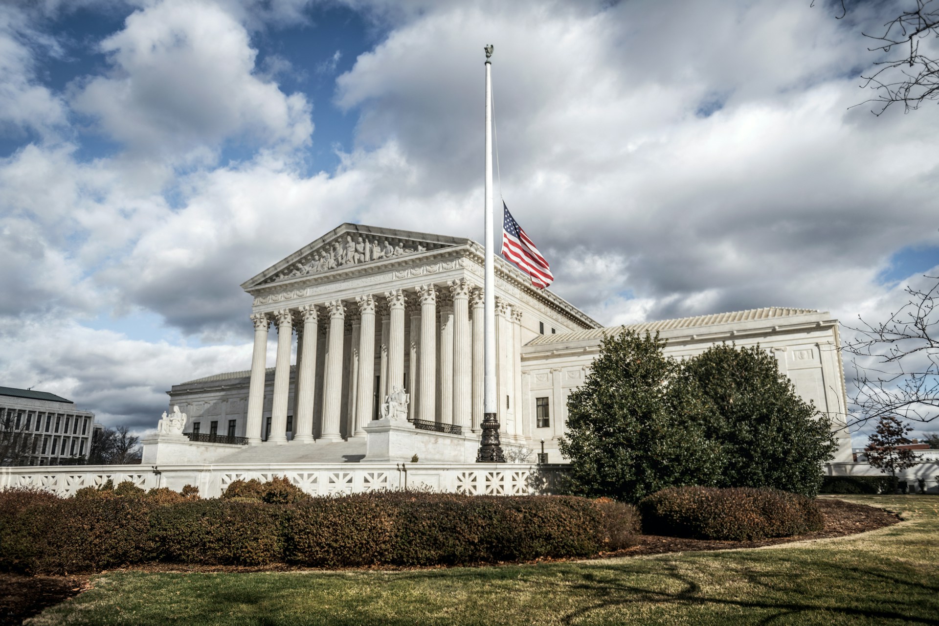 Scholar working on Supreme Court case
