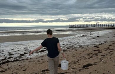 The meaning of intelligence