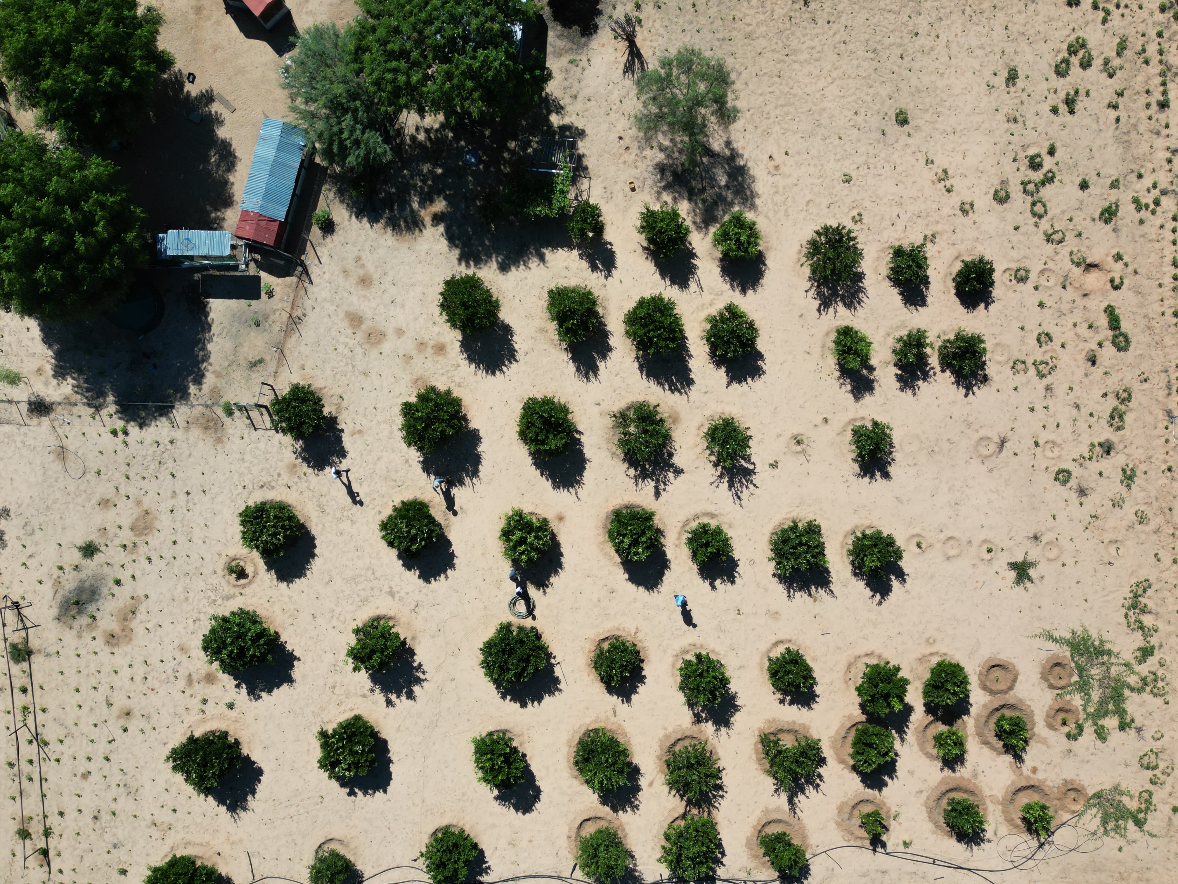Farmland in Namibia