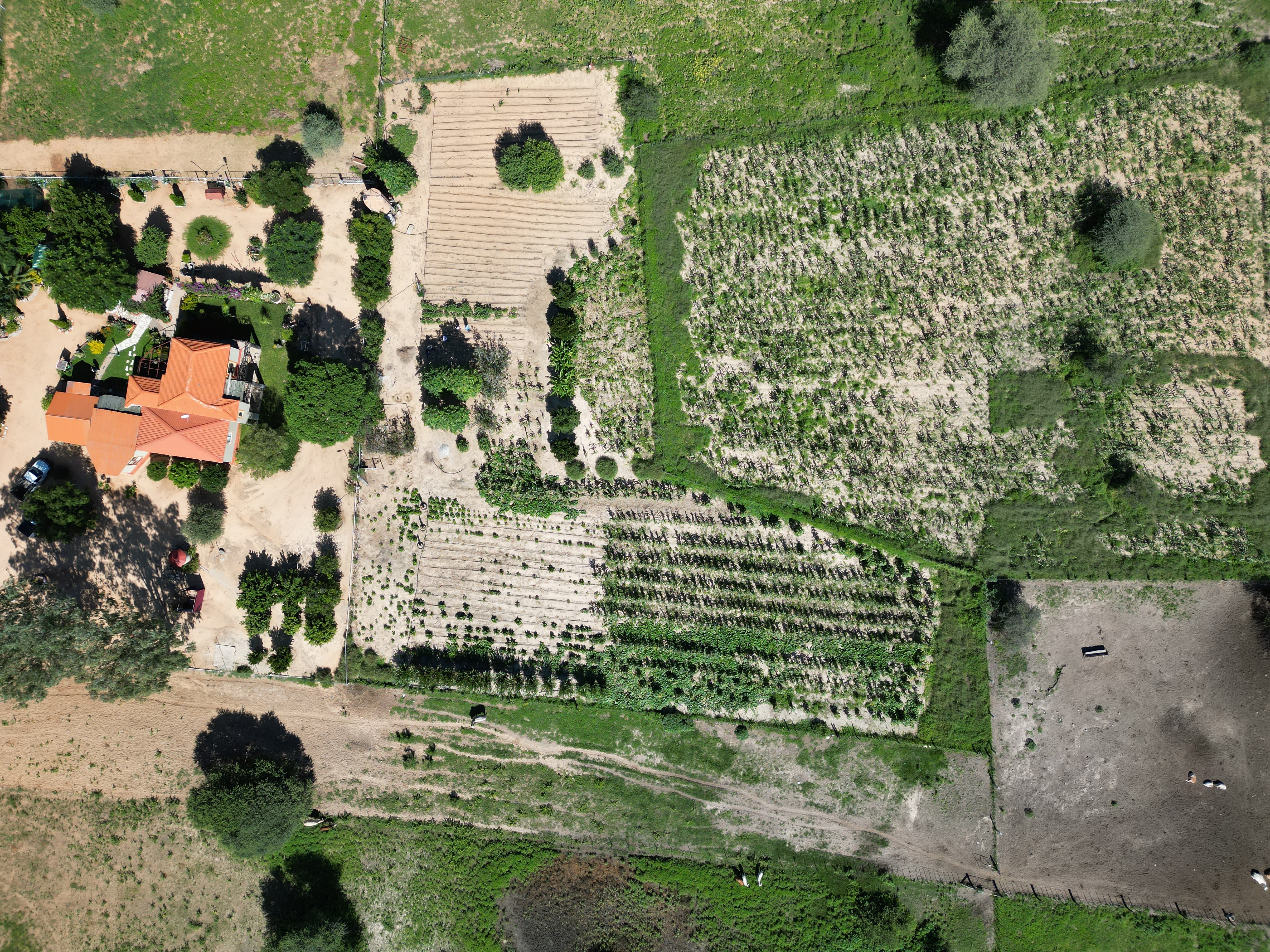 Aerial view of farmland in Namibia