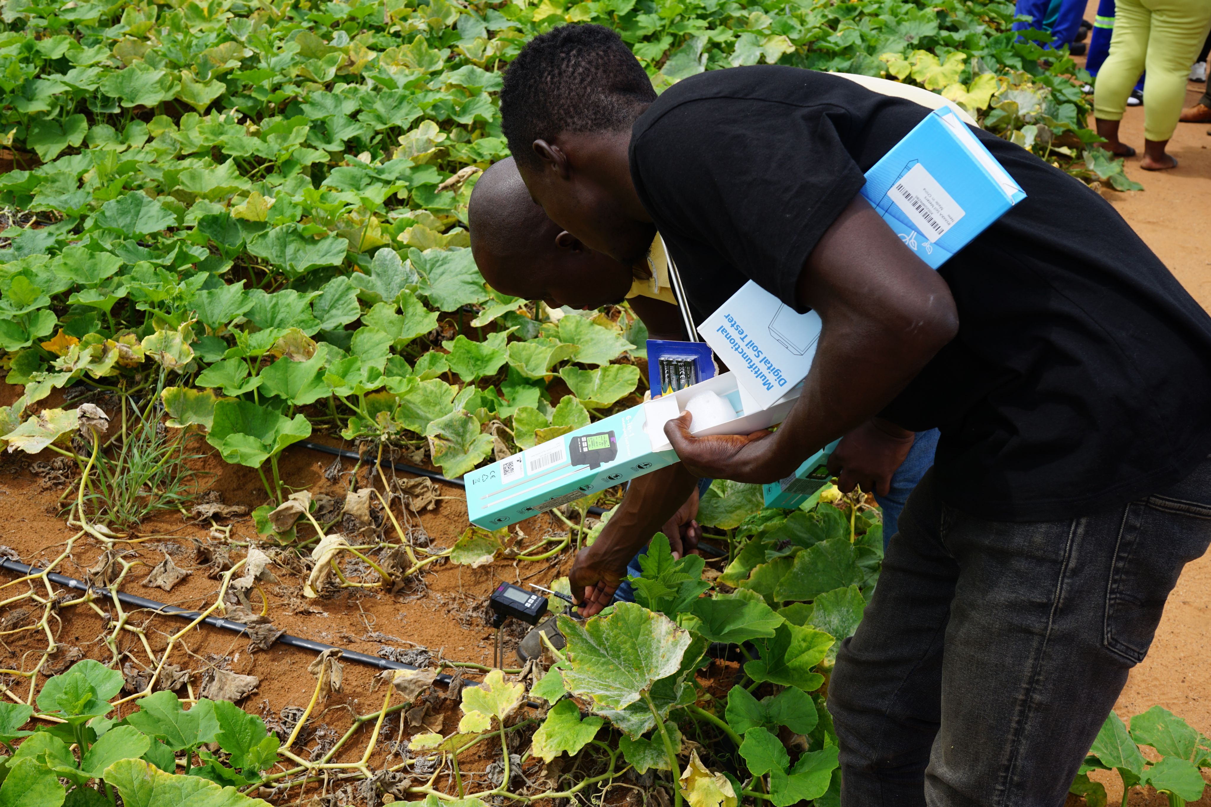 Farmers testing soil sensors