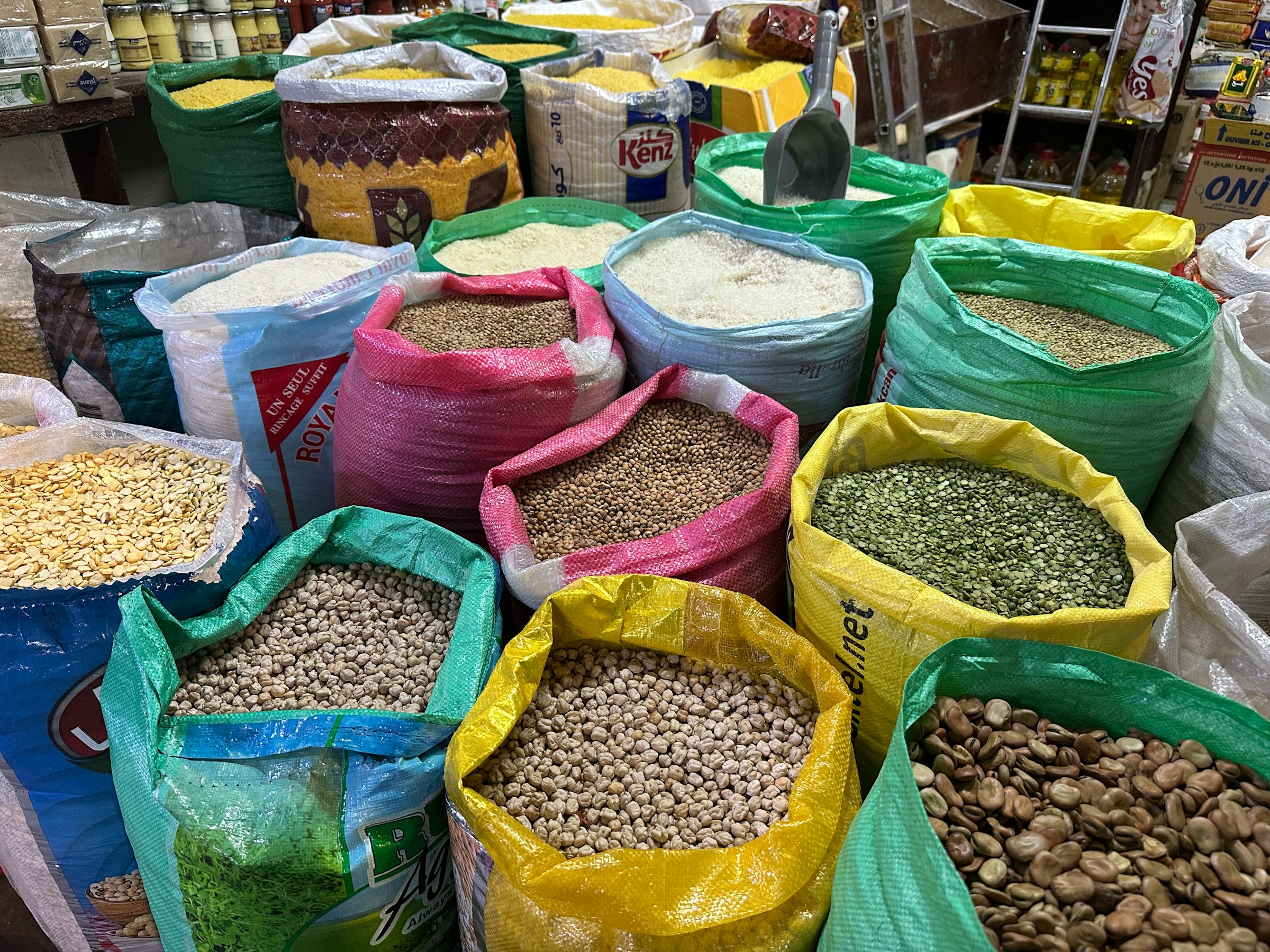 The Gates Cambridge Conversation: Food security in an age of climate crisis