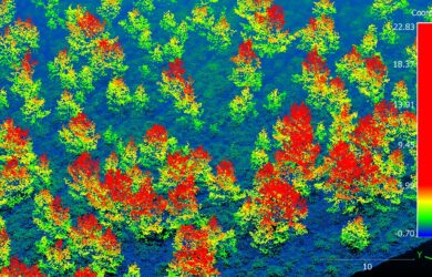 Aerial maps reveal successful woodland expansion in Scotland