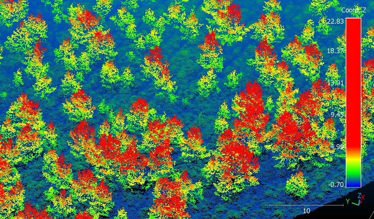Aerial maps reveal successful woodland expansion in Scotland