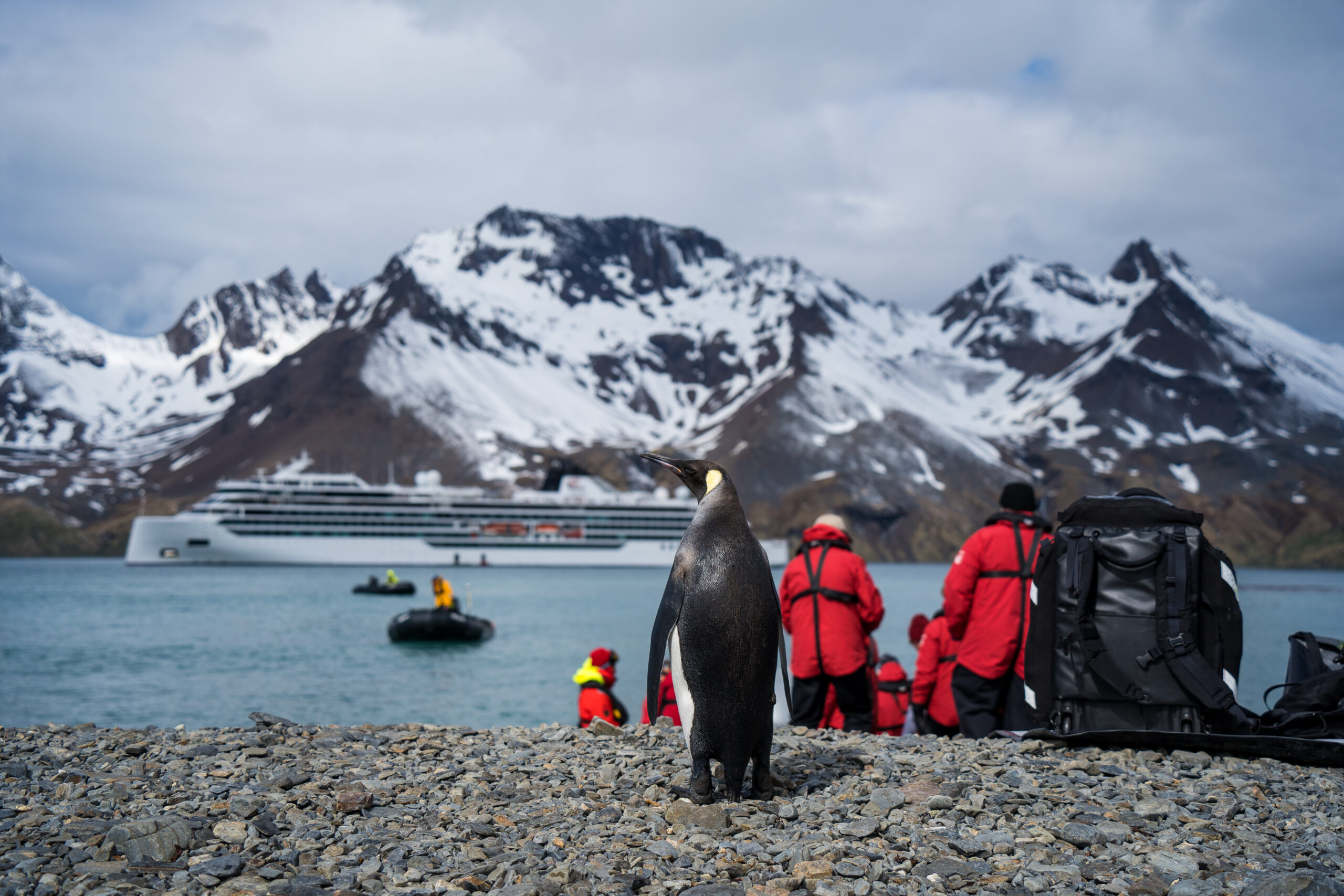Penguins with tourists in Antarctica