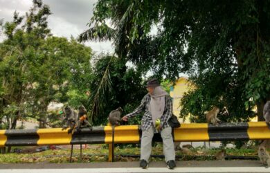 Monkey whisperer