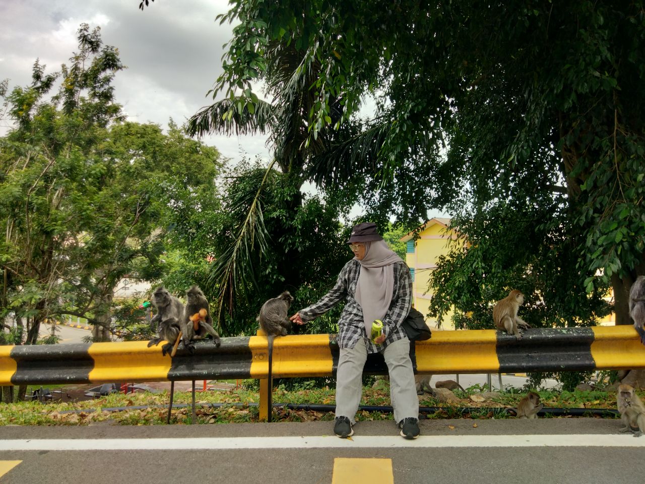 Monkey whisperer